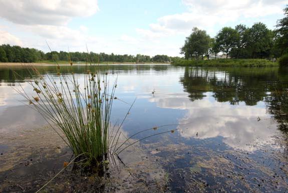 Meer op park | Vakantiepark Hunzedal
